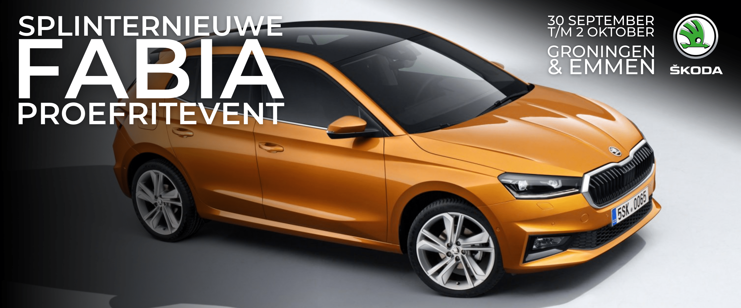 Banner Fabia Proefritevent