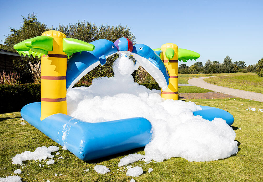 Bubble Park Dolphin