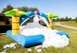 Bubble Park Delphin
