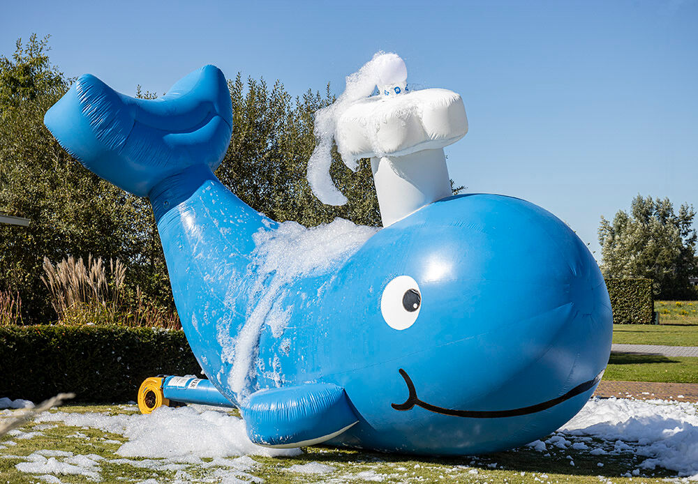 Bubble Special Whale