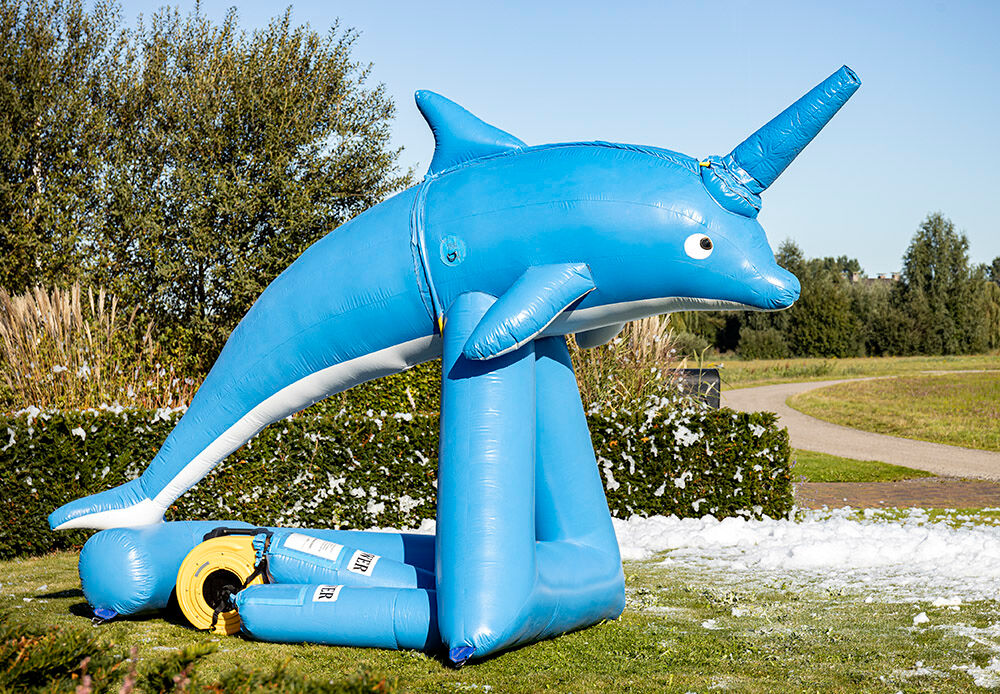 Bubble Cannon Dolphin