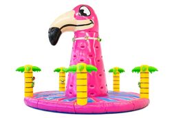 Kletterberg Flamingo 
