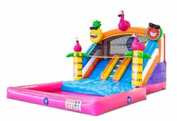 Splashy slide Flamingo Inflatable Slide Castelos insufláveis