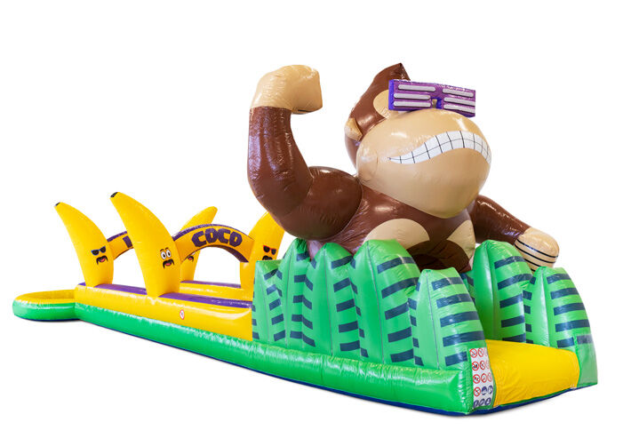 Belly slide Coco Loco em cores alegres