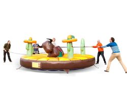 Rodeo Velho Oeste