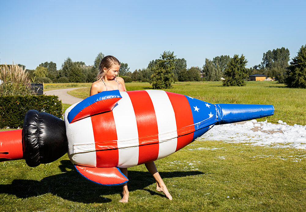 Bubble Shooter USA