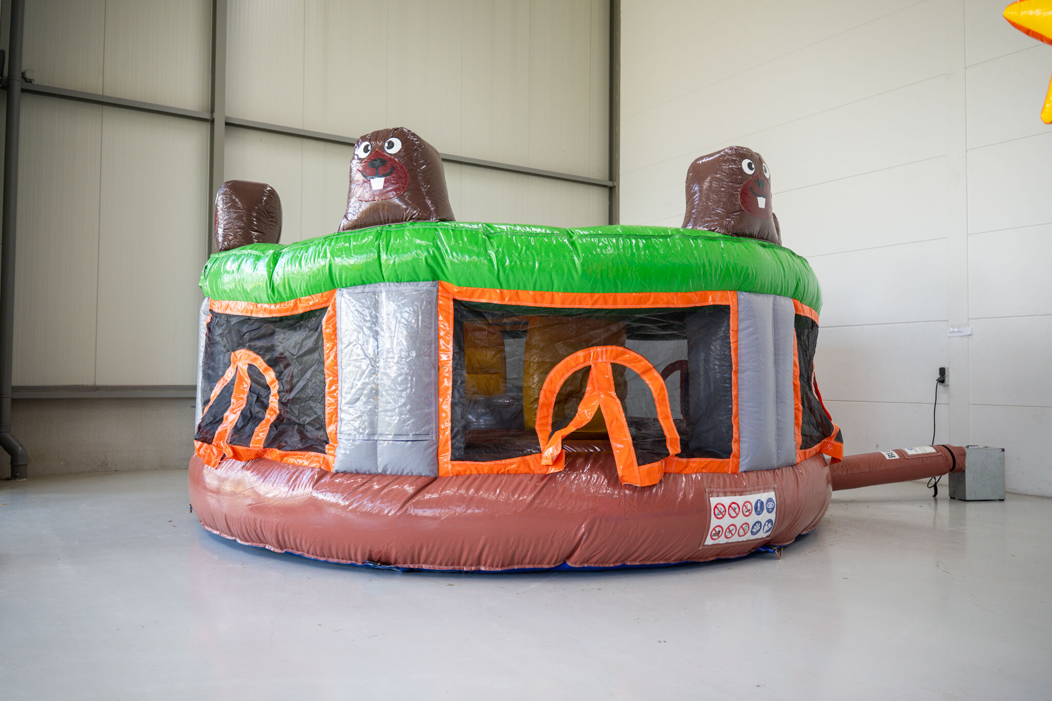 Occasion Whack-a-mole coloré