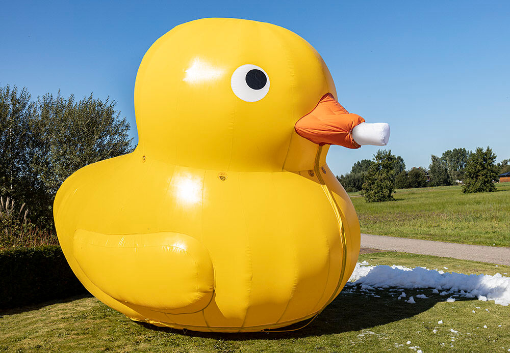 Bubble Special Duck