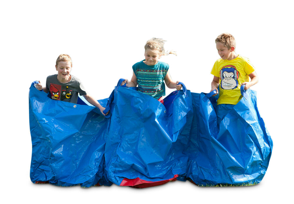 Order unique blue party bags for both old and young. Buy inflatable items online at JB Inflatables America