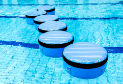 Waterlelies