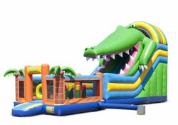 Multiplay Crocodile Slide