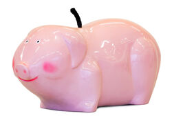 Rodeo attachment Pig