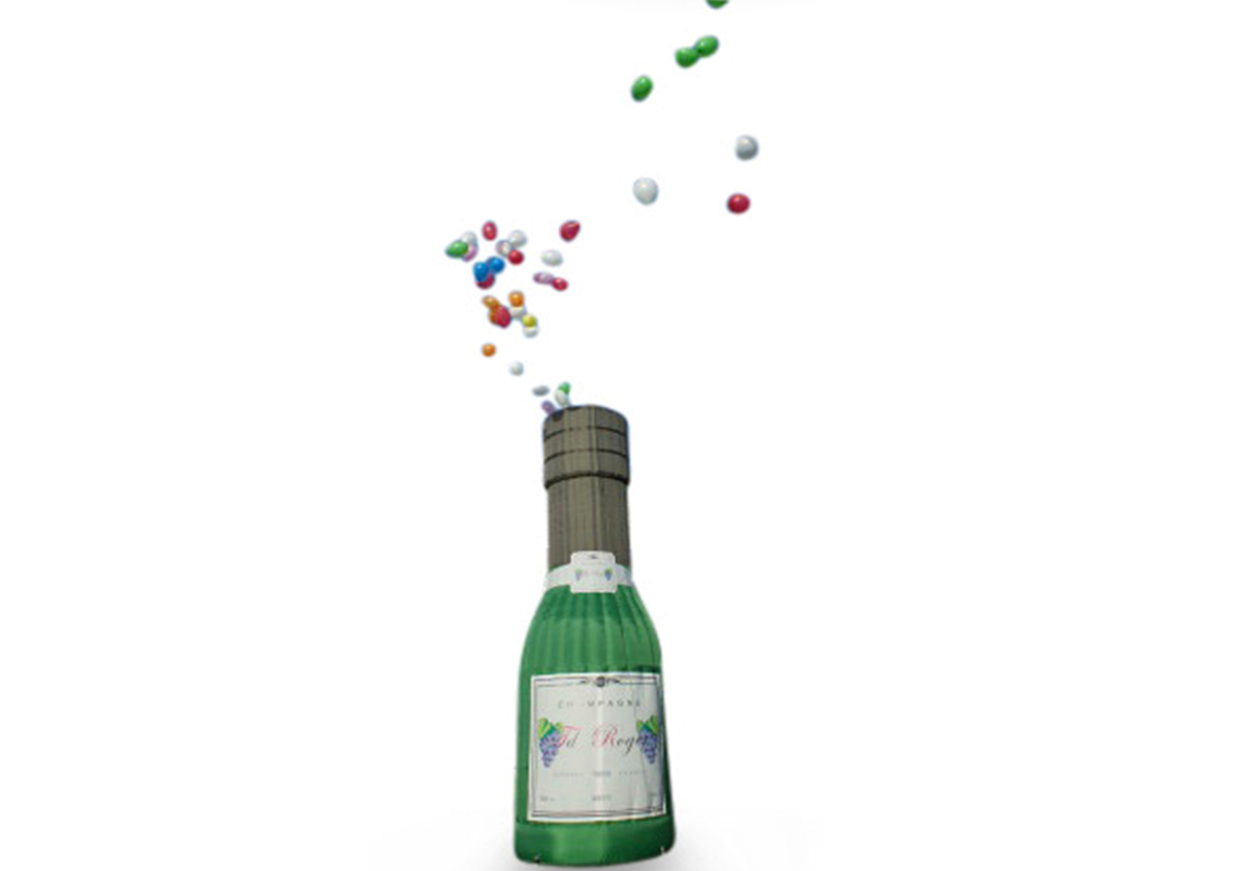 champagnefles (3).jpg