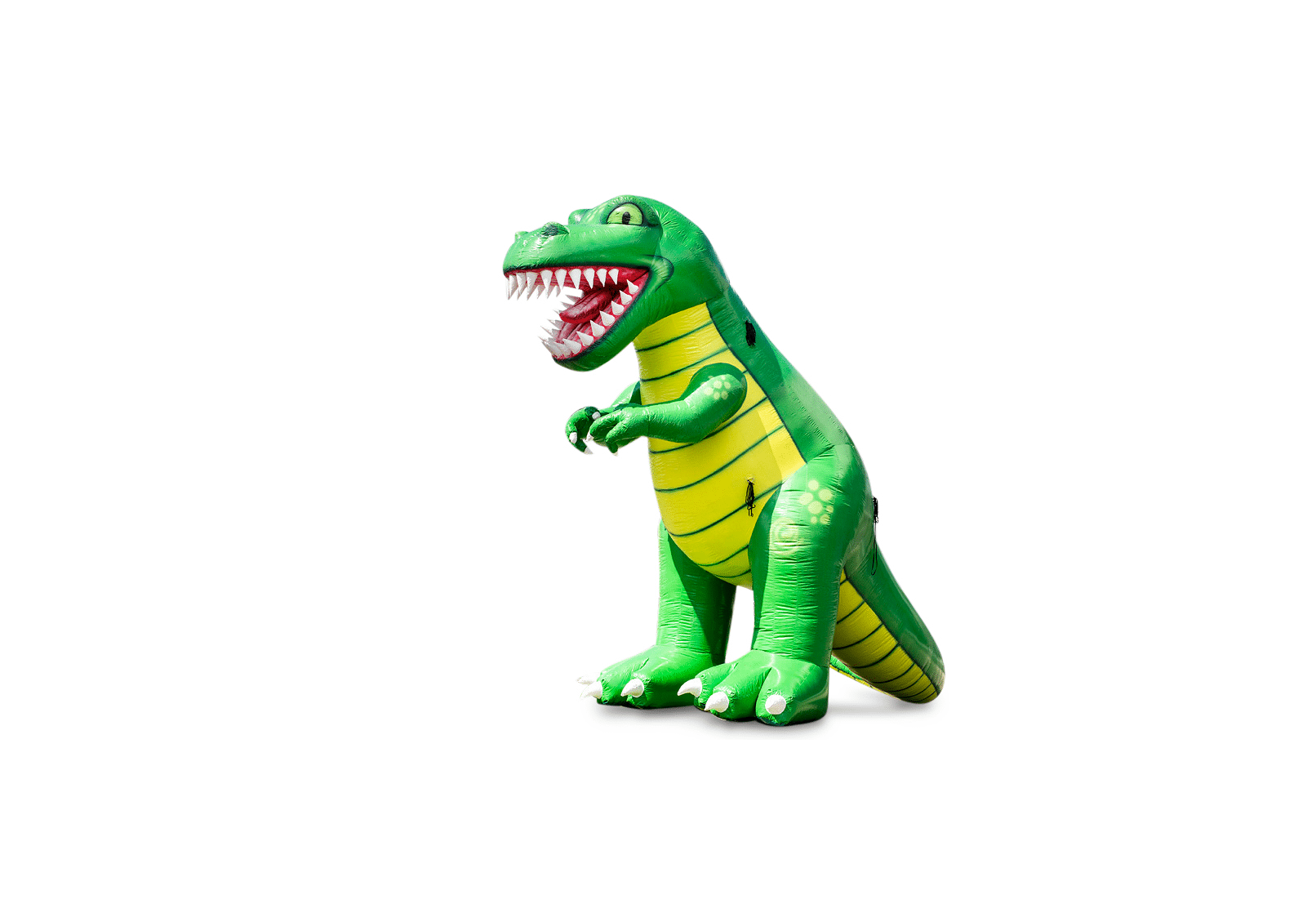 Product afbeelding Dinosaur