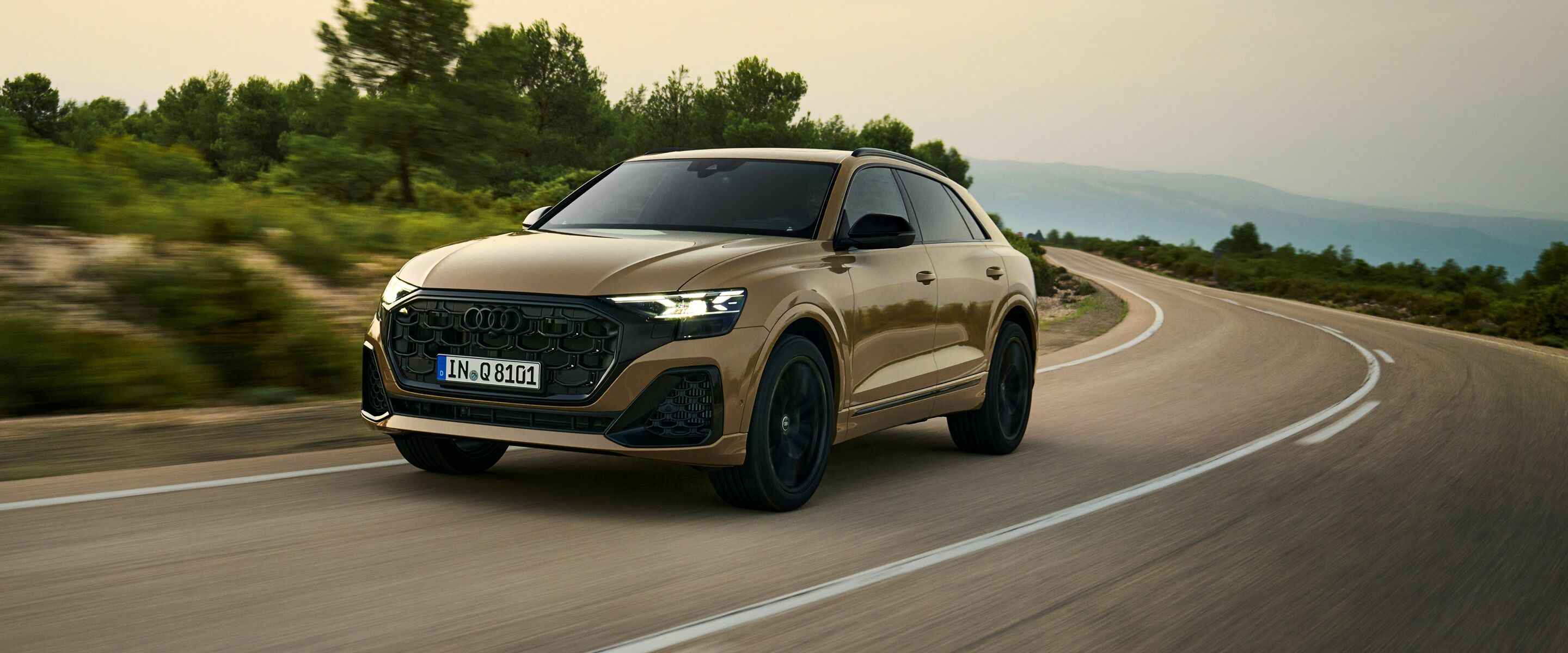 audiq86 (1)