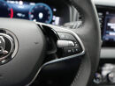 Škoda Karoq 1.5 TSI ACT Business Edition / Virtual Cockpit / Trekhaak / Navigatie