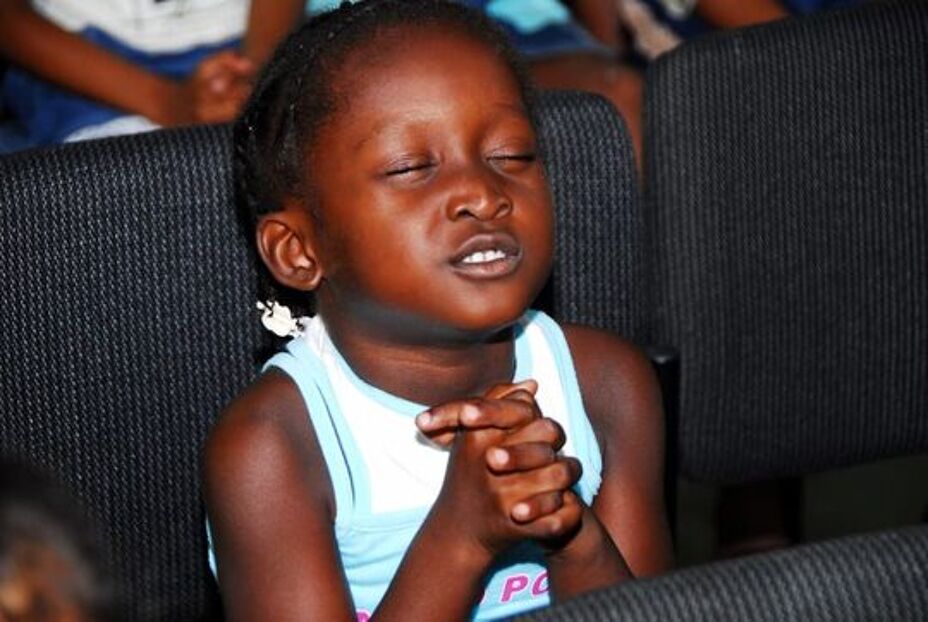 Weid mijn lammeren.jpg